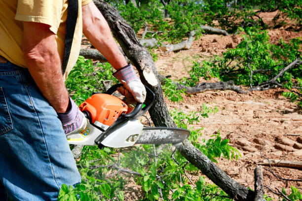 Soil Testing and Treatment in Maplewood, MN